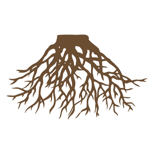 Tree roots nature PNG Design