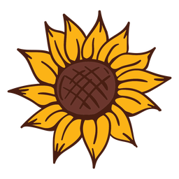 Sunflower bloom nature PNG Design Transparent PNG