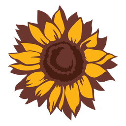 Sunflower nature bloom hand drawn PNG Design