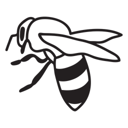 Animales-varios - 28 Diseño PNG