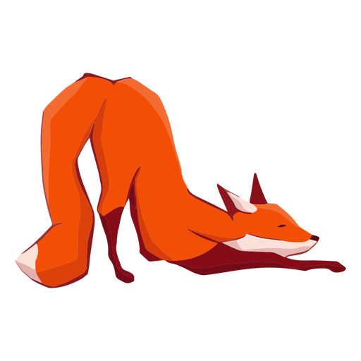 Fox stretching cute
