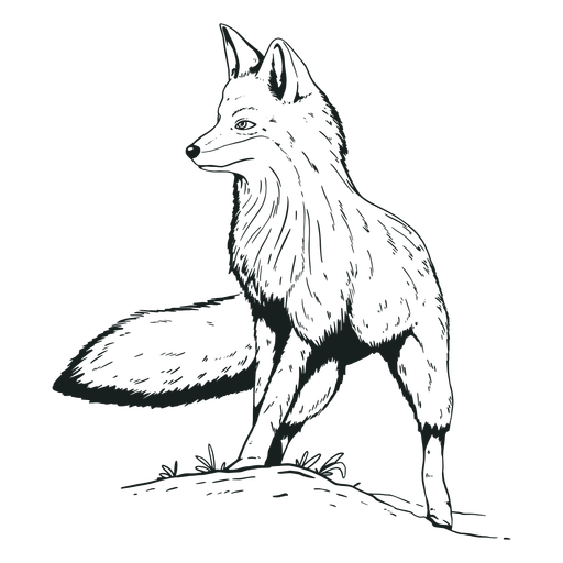 Fuchs Tier handgezeichnet PNG-Design