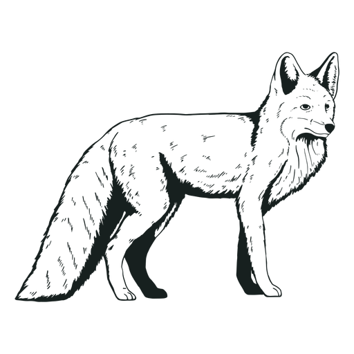 Cute fox animal hand-drawn PNG Design