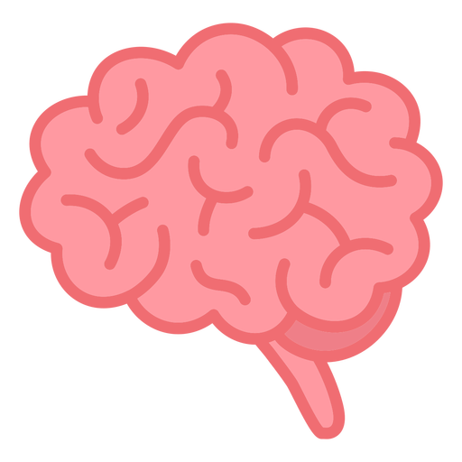 Organe im Gehirn - 5 PNG-Design