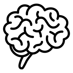 órgãos no cérebro - 9 Desenho PNG
