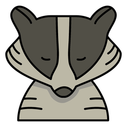 Cute raccoon face with eyes closed