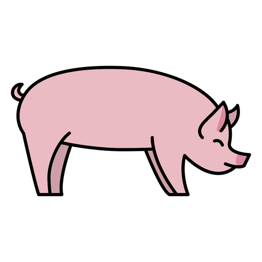 Sideways simple color stroke pig