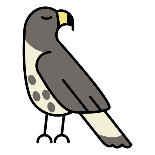 Proud hawk bird PNG Design