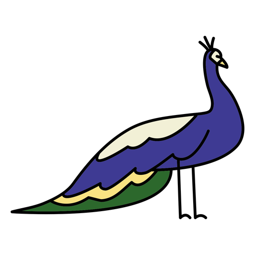 Simple color stroke peacock profile PNG Design