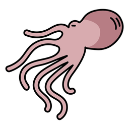 Squid sea animal swimming