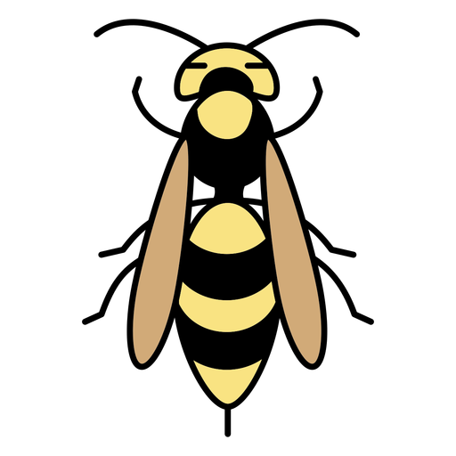 Simple color stroke wasp top view PNG Design