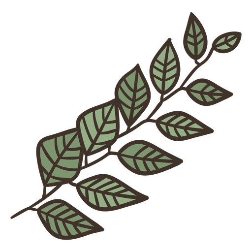 Leaves in branch stroke flat