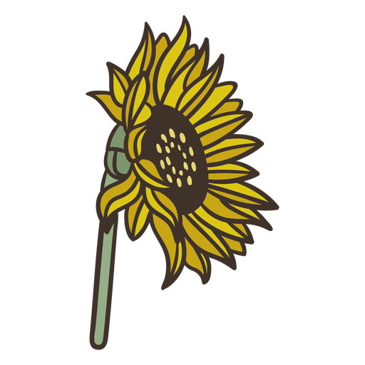 Sonnenblumenfarbe - 5 PNG-Design