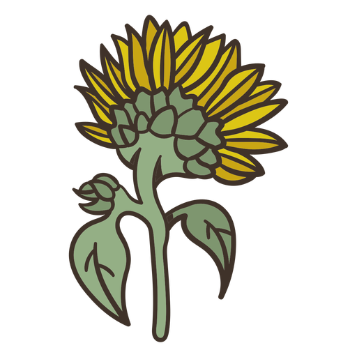 Sonnenblumenfarbe - 6 PNG-Design