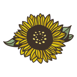 Sonnenblumenfarbe - 8 PNG-Design
