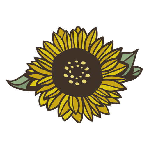 Semi flat frontal sunflower PNG Design