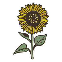 Stroke semi flat sunflower element 