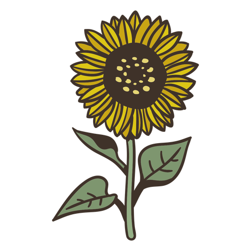 Stroke semi flat sunflower element  PNG Design