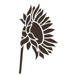 Hand drawn sunflower sideways silhouette