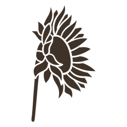 Handgezeichnete Sonnenblume seitliche Silhouette PNG-Design