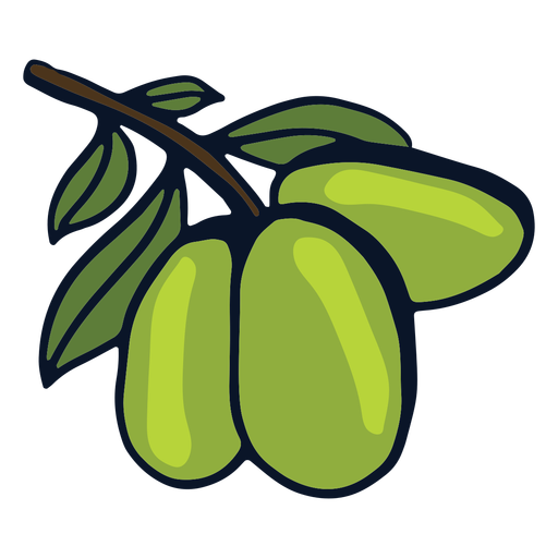Lime fruit branch PNG Design