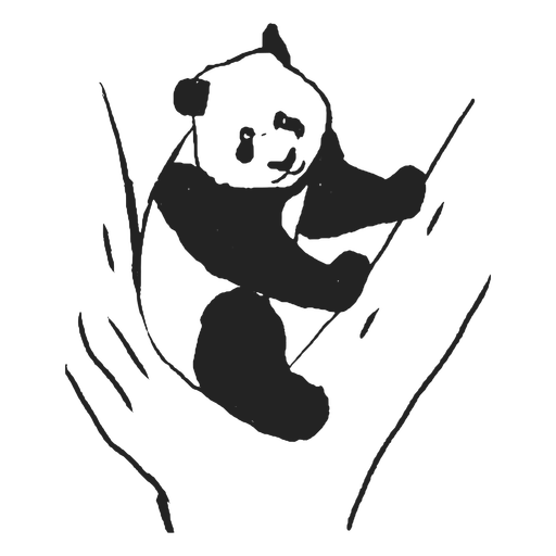 Design PNG E SVG De Desenho Animado Do Urso Panda Para Camisetas