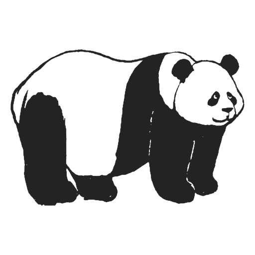 Panda Bär erwachsen PNG-Design