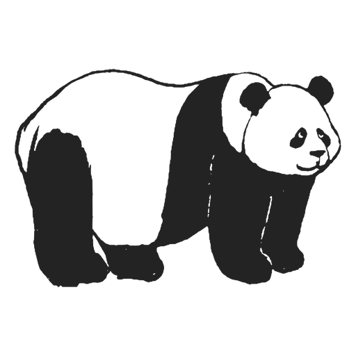 Desenho Realista Vetorial Da Figura Panda Em Ilustração Desenhada à Mão  Inteira Ilustração do Vetor - Ilustração de silhueta, urso: 251025852