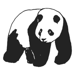 Design PNG E SVG De Traço De Urso Panda Fofo Para Camisetas