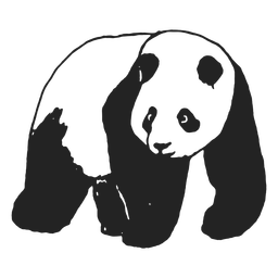 Oso panda, animal, ambulante Transparent PNG