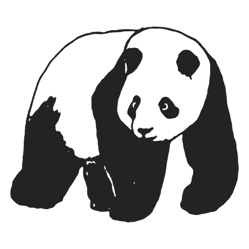 Animal urso panda caminhando
