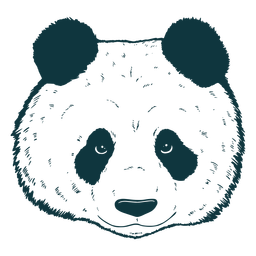 Cabeça de panda desenhada à mão fofa Transparent PNG