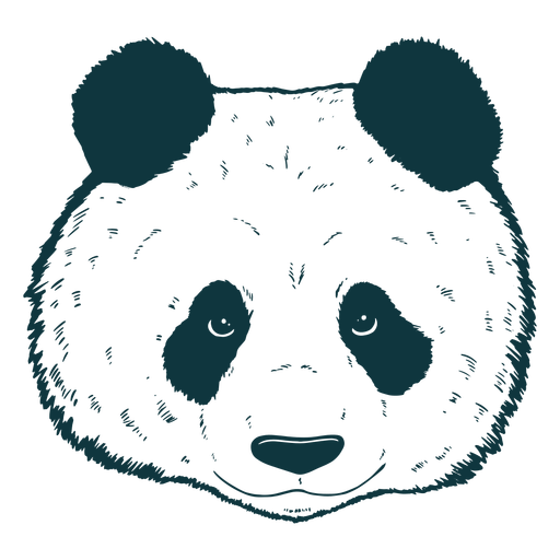 Design PNG E SVG De Traço Focinho Da Cabeça Piscante Do Panda Para