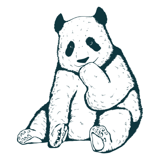 Panda Bär niedlich handgezeichnet PNG-Design