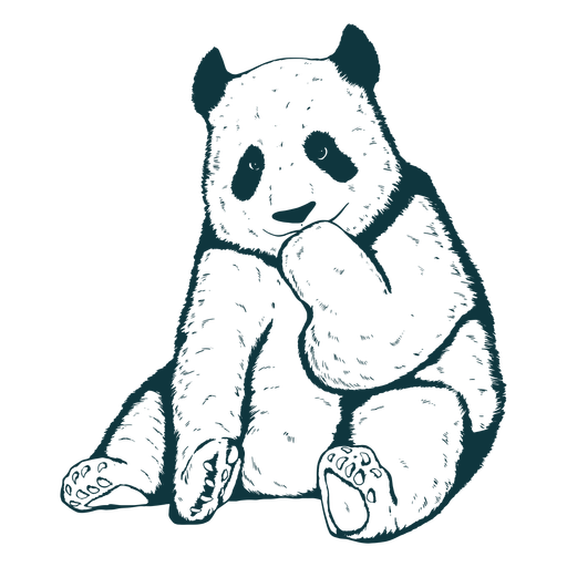 Urso panda fofo desenhado à mão Desenho PNG