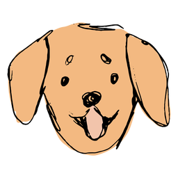 Dibujado a mano linda cara de golden retriever Diseño PNG