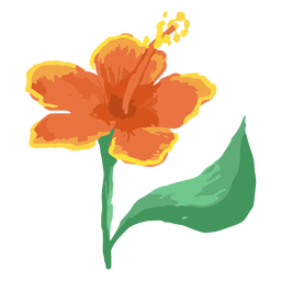 Simple hand drawn hibiscus flower PNG Design