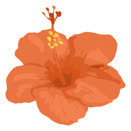 abacaxi - flores - 2 Desenho PNG