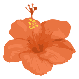 Single hand drawn hibiscus flower PNG Design