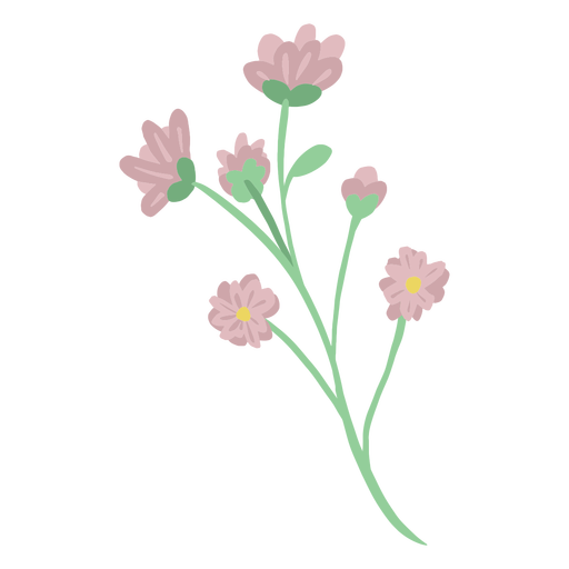 abacaxi - flores - 4 Desenho PNG