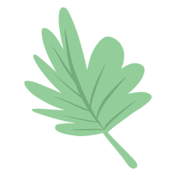 Simple hand drawn semi flat palm leaf PNG Design