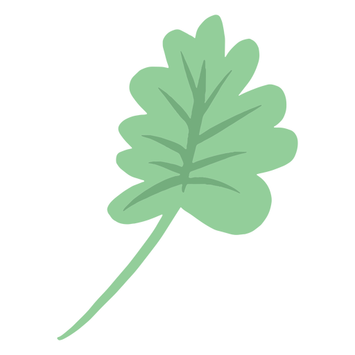 Simple hand drawn roundy leaf PNG Design