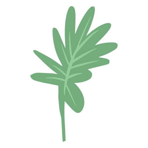 Simple hand drawn palm leaf