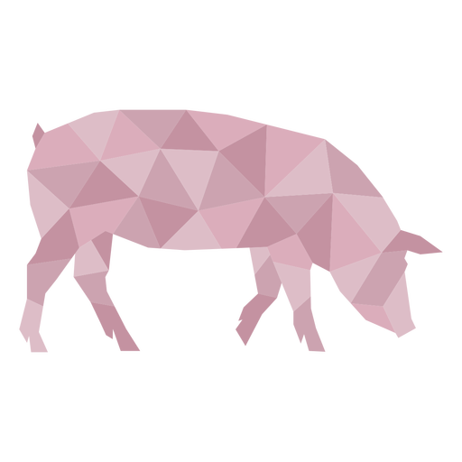 Simple pig polygonal profile