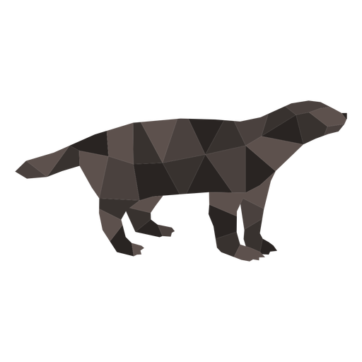 Color polygonal badger