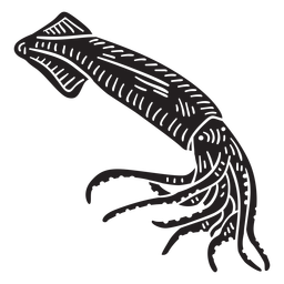 Detailed hand drawn side squid PNG Design Transparent PNG