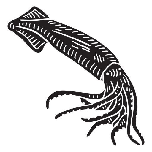 Detailed hand drawn side squid PNG Design