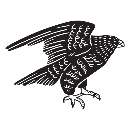 Hand drawn flying eagle PNG Design