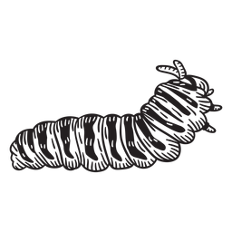 Walking hand drawn caterpillar PNG Design Transparent PNG