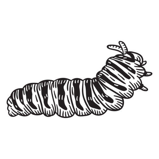 Walking hand drawn caterpillar PNG Design